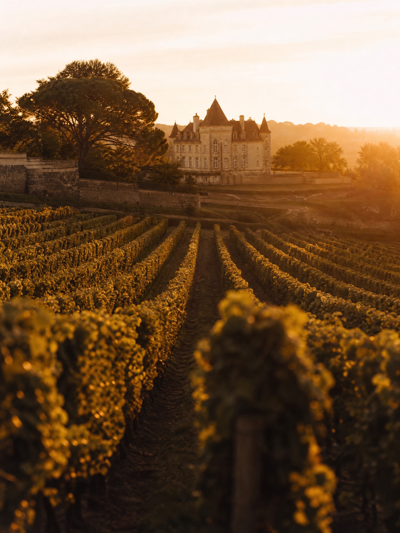 Bordeaux